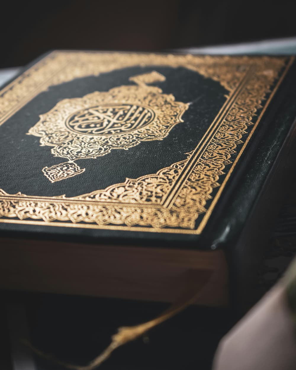 whatsapp image 2025 12 16 at 11.52.54 pm